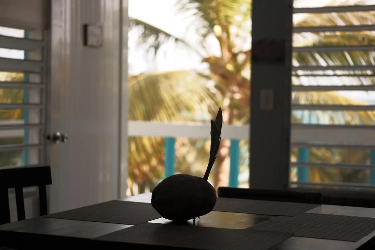 Peje Blanco Beachfront Farmstay Patillas Lejlighed
