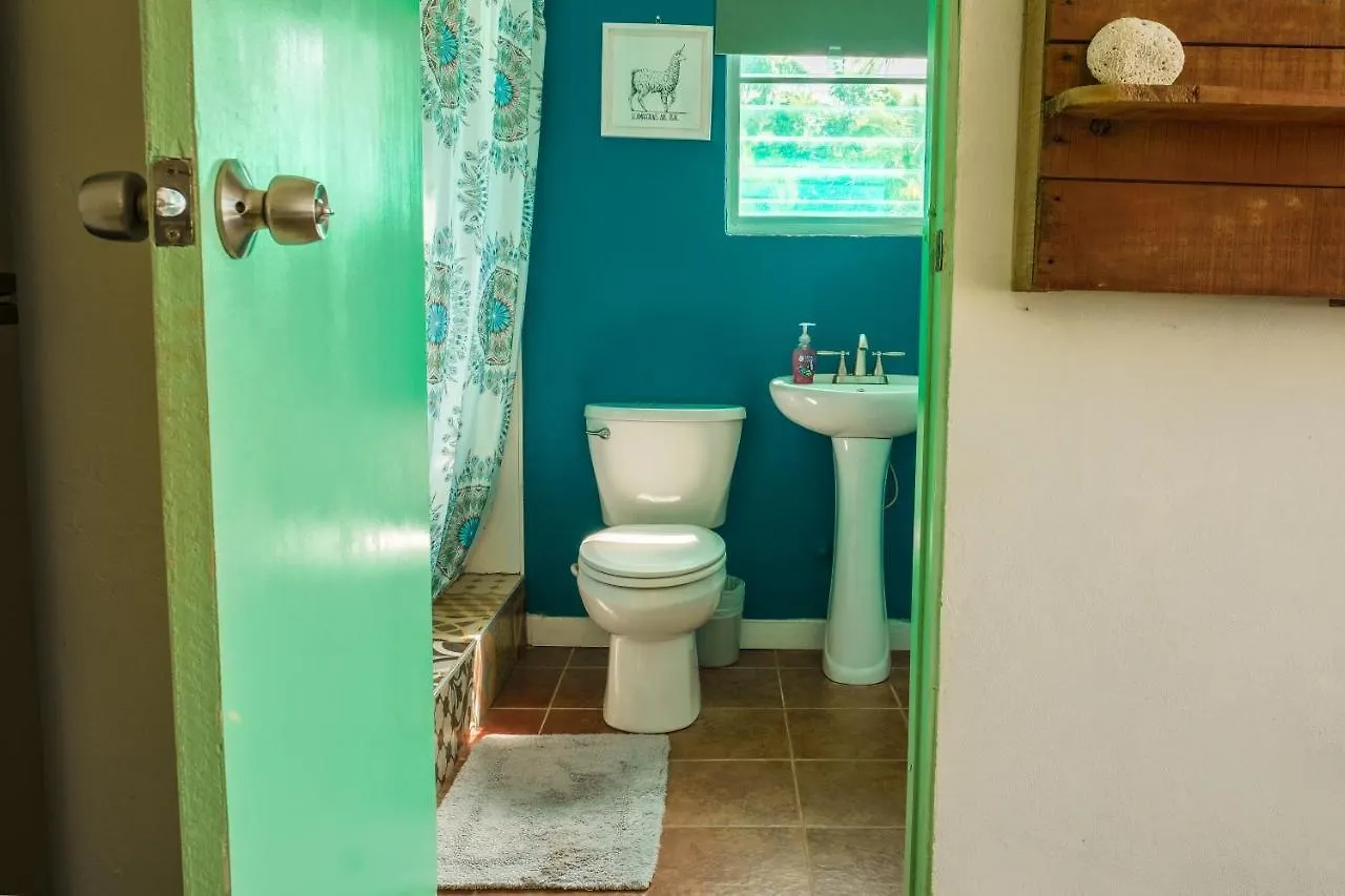Lejlighed Peje Blanco Beachfront Farmstay Patillas